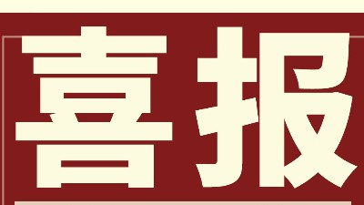 強(qiáng)勢(shì)開(kāi)新局 勇奪開(kāi)門(mén)紅 | 靈科超聲波Q1業(yè)績(jī)勁增14.96%創(chuàng)佳績(jī)